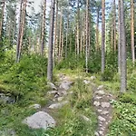 Riverside Sauna And Hot Tub Northern Lights شاليه