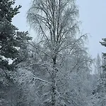 Riverside Sauna And Hot Tub Northern Lights شاليه *