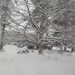 Riverside Sauna And Hot Tub Northern Lights