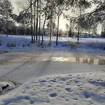 Riverside Sauna And Hot Tub Northern Lights