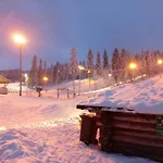 Riverside Sauna And Hot Tub Northern Lights Äänekoski