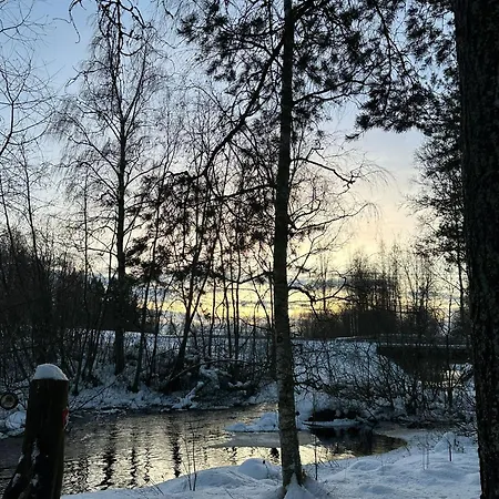 Alpesi faház Chez-nous Aeaenekoski, Sauna & Jacuzzi, Northern Lights