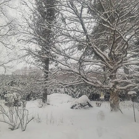 Chez-Nous Äänekoski