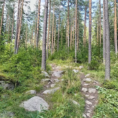 Riverside Cabin in Äänekoski Sauna, Hot Tub&Northern Lights Chalet