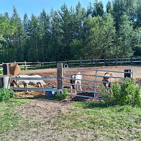 Chez-Nous Äänekoski