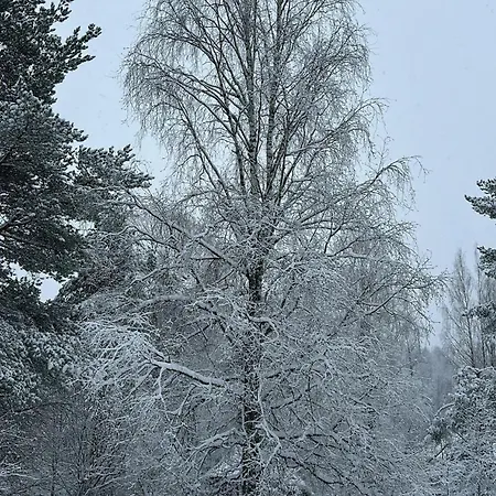 Chez-Nous Äänekoski Chalet *