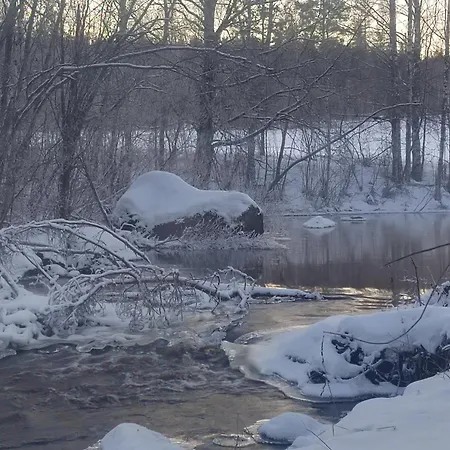Riverside Sauna Hot Tub Northern Lights 샬레 Äänekoski
