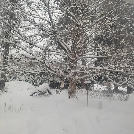 Chez-Nous Äänekoski