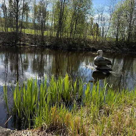 Chez-Nous Äänekoski Chalet *