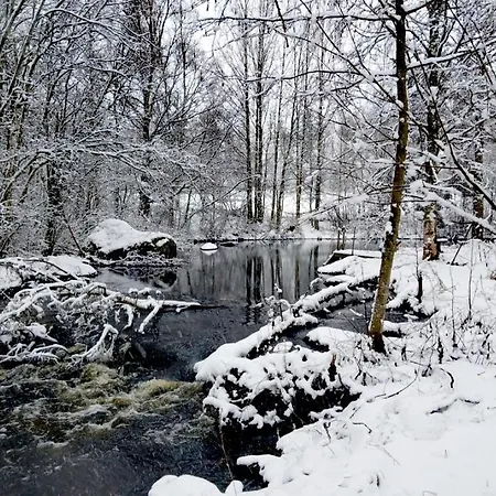 Chez-Nous Äänekoski Chalet Äänekoski