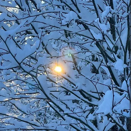 샬레 Chez-nous Aeaenekoski, Sauna & Jacuzzi, Northern Lights