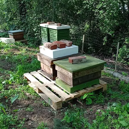 Chez-Nous Äänekoski * Äänekoski