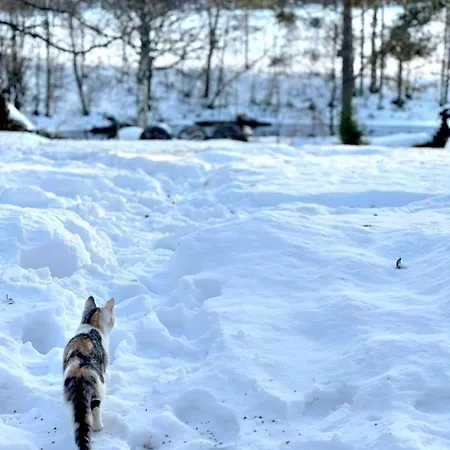 Chez-nous Aeaenekoski, Sauna & Jacuzzi, Northern Lights 샬레