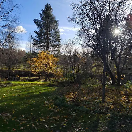 Riverside Cabin in Äänekoski Sauna, Hot Tub&Northern Lights