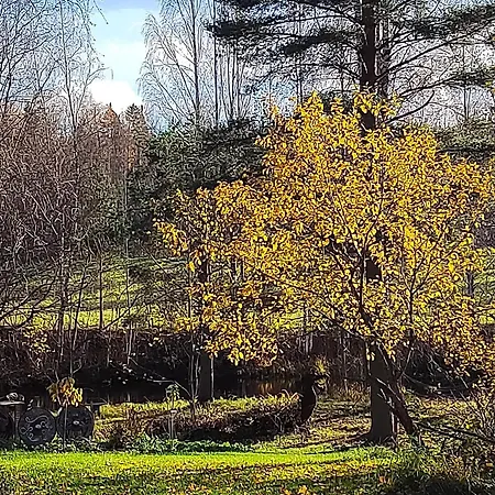 Chez-nous Aeaenekoski, Sauna & Jacuzzi, Northern Lights Alpesi faház