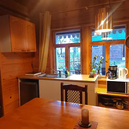 Chez-nous Aeaenekoski, Sauna & Jacuzzi, Northern Lights 샬레 *