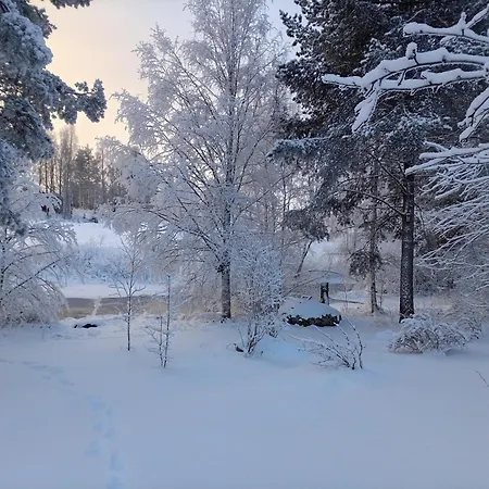 Riverside Sauna Hot Tub Northern Lights * Aanekoski