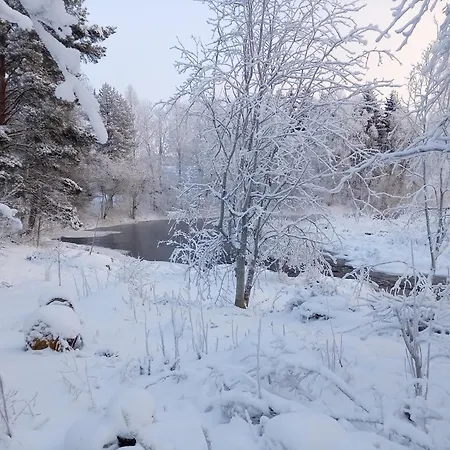 Alpesi faház Chez-nous Aeaenekoski, Sauna & Jacuzzi, Northern Lights