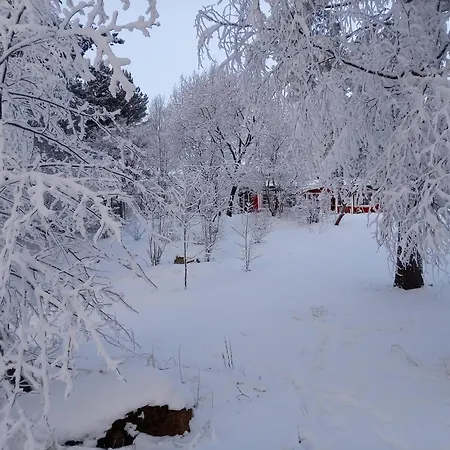 Chez-nous Aeaenekoski, Sauna & Jacuzzi, Northern Lights *