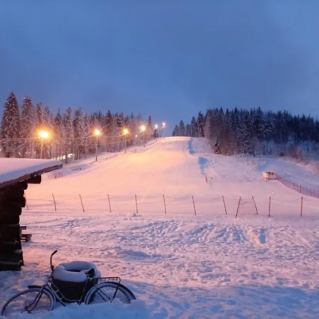 Alpesi faház Chez-nous Aeaenekoski, Sauna & Jacuzzi, Northern Lights