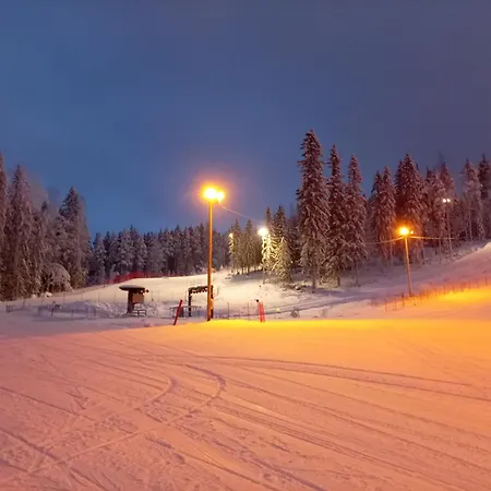 Riverside Sauna Hot Tub Northern Lights * Aanekoski