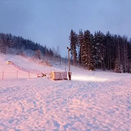 Alpesi faház Chez-nous Aeaenekoski, Sauna & Jacuzzi, Northern Lights Äänekoski