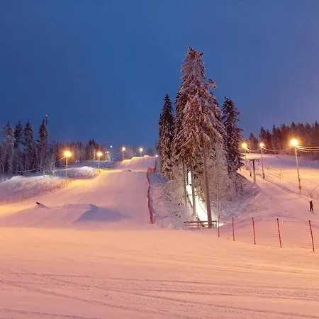 Chez-nous Aeaenekoski, Sauna & Jacuzzi, Northern Lights