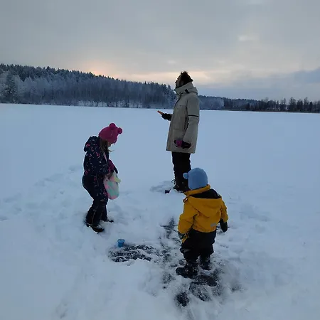 Chez-nous Aeaenekoski, Sauna & Jacuzzi, Northern Lights * Äänekoski