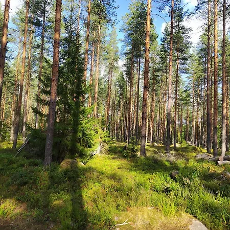Chez-nous Aeaenekoski, Sauna & Jacuzzi, Northern Lights Äänekoski