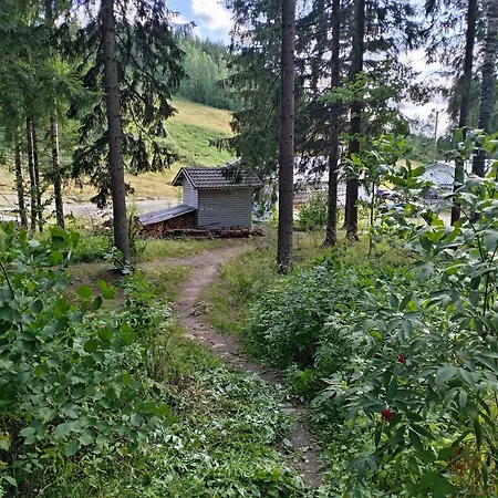 木屋 Riverside Cottage Aeaenekoski Sauna And Hot Tub Northern Lights *