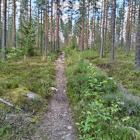 Chez-nous Aeaenekoski, Sauna & Jacuzzi, Northern Lights Alpesi faház Äänekoski