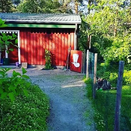 Riverside Sauna Hot Tub Northern Lights * Äänekoski