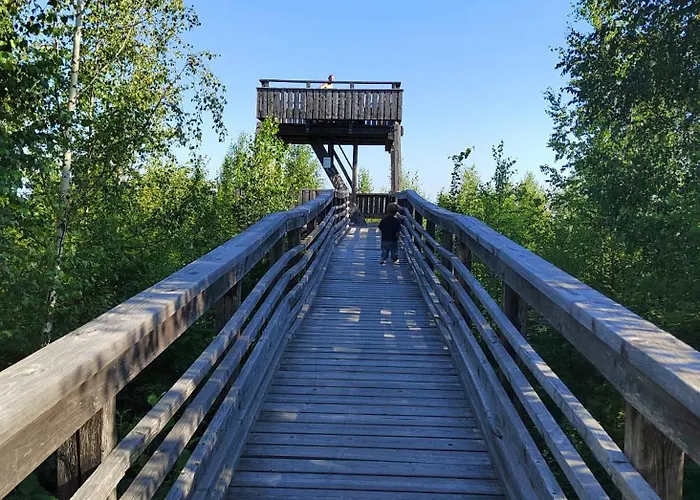 Riverside Cottage Aeaenekoski Sauna And Hot Tub Northern Lights *
