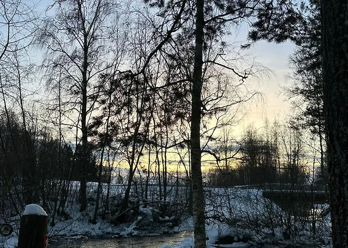 木屋 Riverside Cottage Aeaenekoski Sauna And Hot Tub Northern Lights