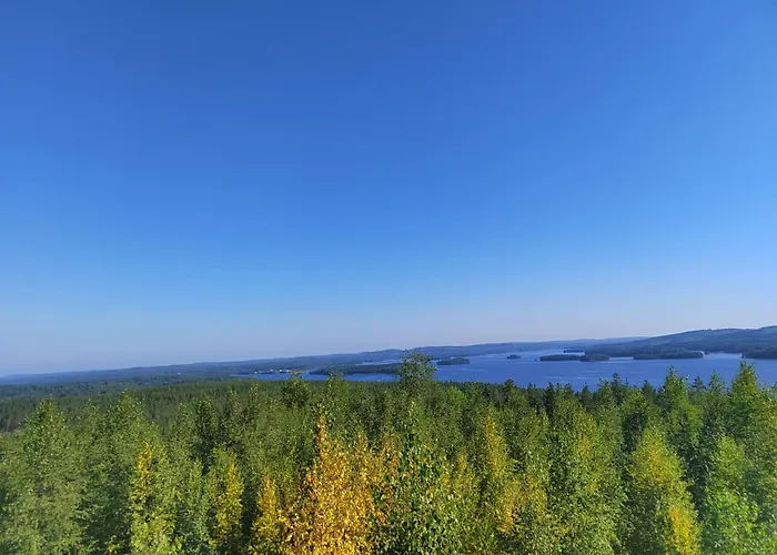 木屋 Riverside Cottage Aeaenekoski Sauna And Hot Tub Northern Lights