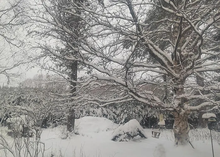 Riverside Sauna And Hot Tub Northern Lights