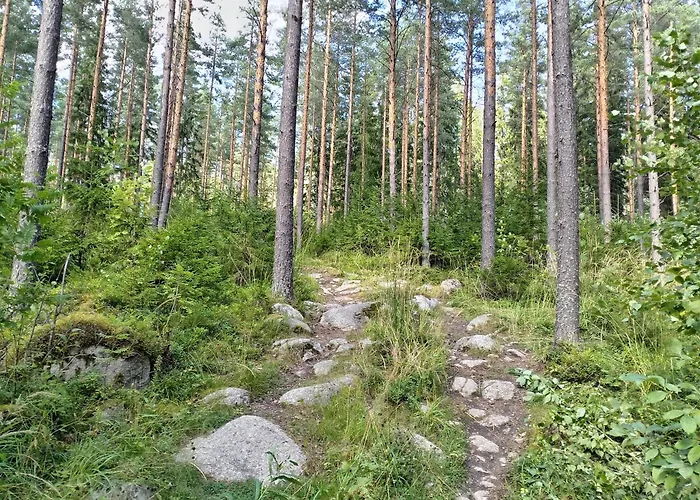 Riverside Cottage Aeaenekoski Sauna And Hot Tub Northern Lights 木屋