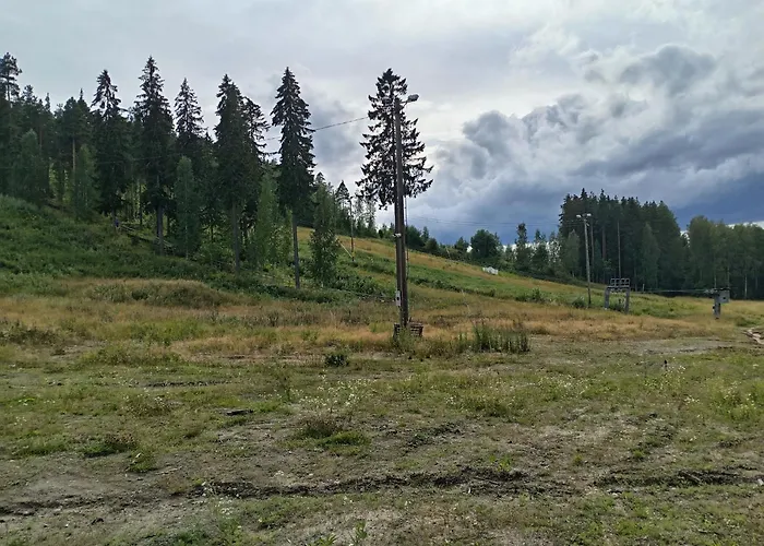 Riverside Cottage Aeaenekoski Sauna And Hot Tub Northern Lights * Äänekoski