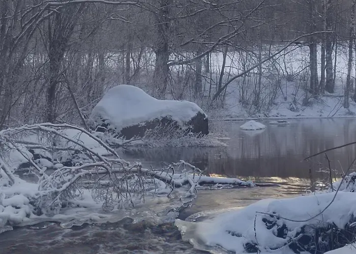 Riverside Cottage Aeaenekoski Sauna And Hot Tub Northern Lights 木屋 Äänekoski