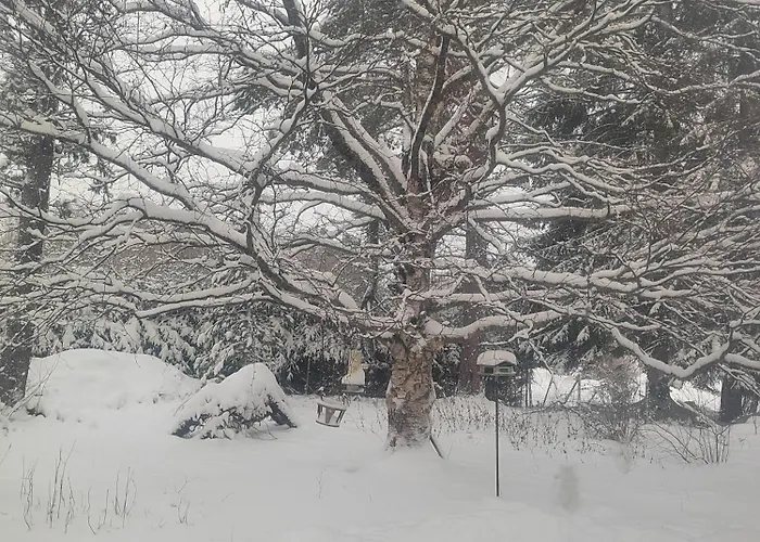 Riverside Sauna And Hot Tub Northern Lights