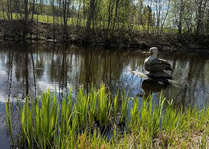 Riverside Cottage Aeaenekoski Sauna And Hot Tub Northern Lights 木屋 *