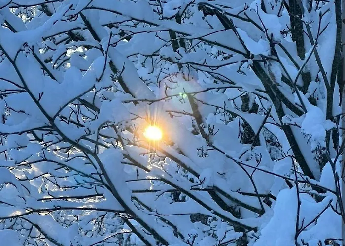 木屋 Riverside Cottage Aeaenekoski Sauna And Hot Tub Northern Lights