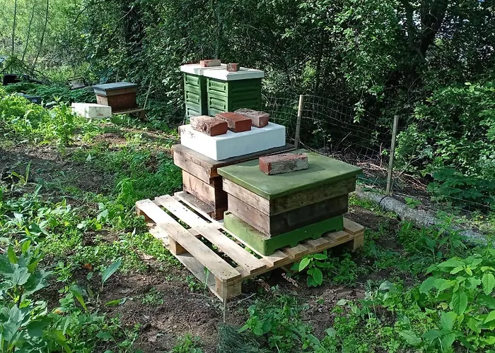 Riverside Cottage Aeaenekoski Sauna And Hot Tub Northern Lights * Äänekoski