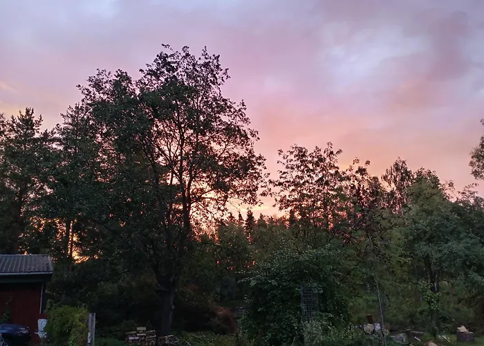 Riverside Cottage Aeaenekoski Sauna And Hot Tub Northern Lights Äänekoski