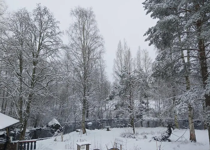 Riverside Sauna And Hot Tub Northern Lights Chalet
