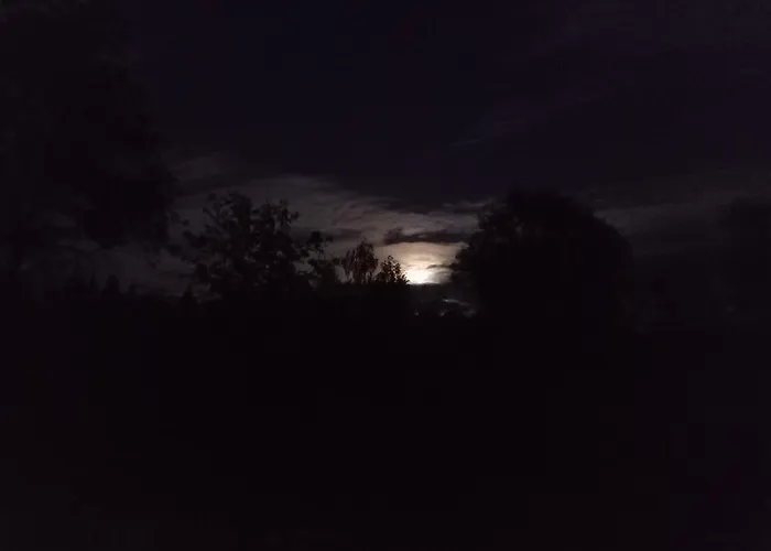 Riverside Cottage Aeaenekoski Sauna And Hot Tub Northern Lights 木屋