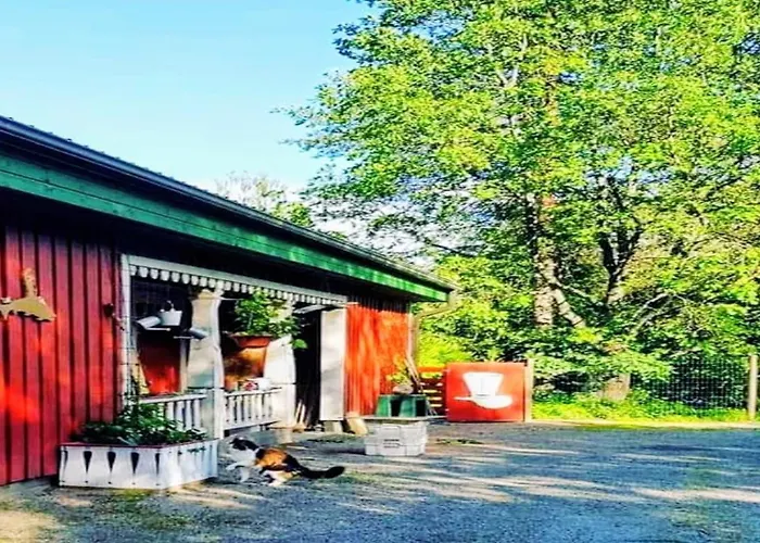 Riverside Cottage Aeaenekoski Sauna And Hot Tub Northern Lights 木屋 *
