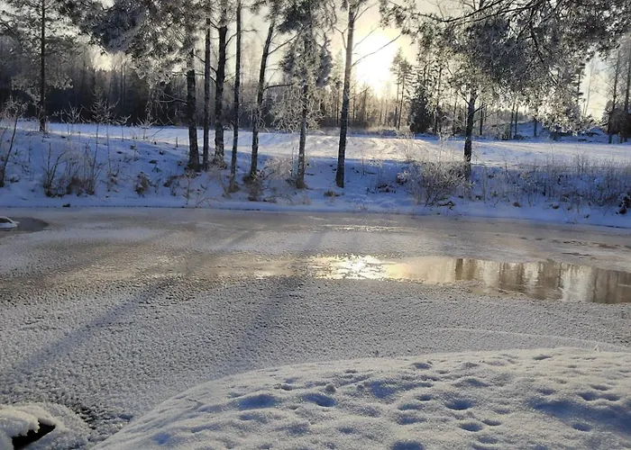Riverside Cottage Aeaenekoski Sauna And Hot Tub Northern Lights
