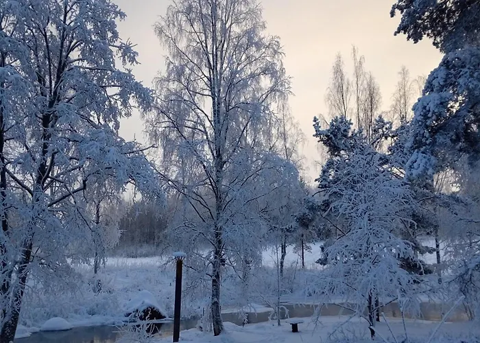 Riverside Cottage Aeaenekoski Sauna And Hot Tub Northern Lights 木屋 Äänekoski