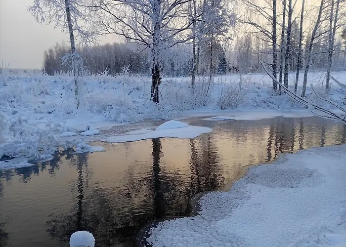 Riverside Cottage Aeaenekoski Sauna And Hot Tub Northern Lights 木屋 Äänekoski